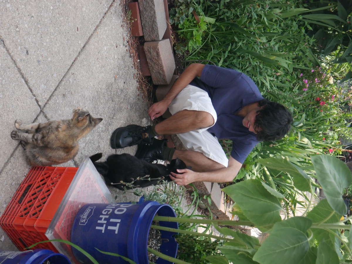 Vish crouching to greet two cats in a garden